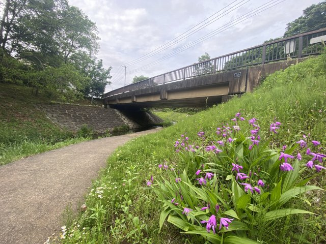 徒歩2分の川沿いに設置された遊歩道は四季折々の花が咲きちょうど良いお散歩コースです