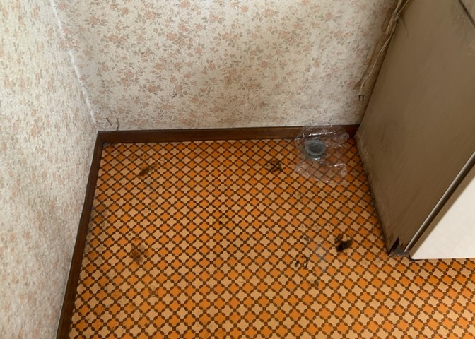 ランドリースペースも気になります。洗濯機置場があり「洗う、干す、取り込む、アイロンがけ、たたむ」など、洗濯に関する家事をするための空間です。広さや収納など付帯設備も含めて、詳細は現地でご確認ください。