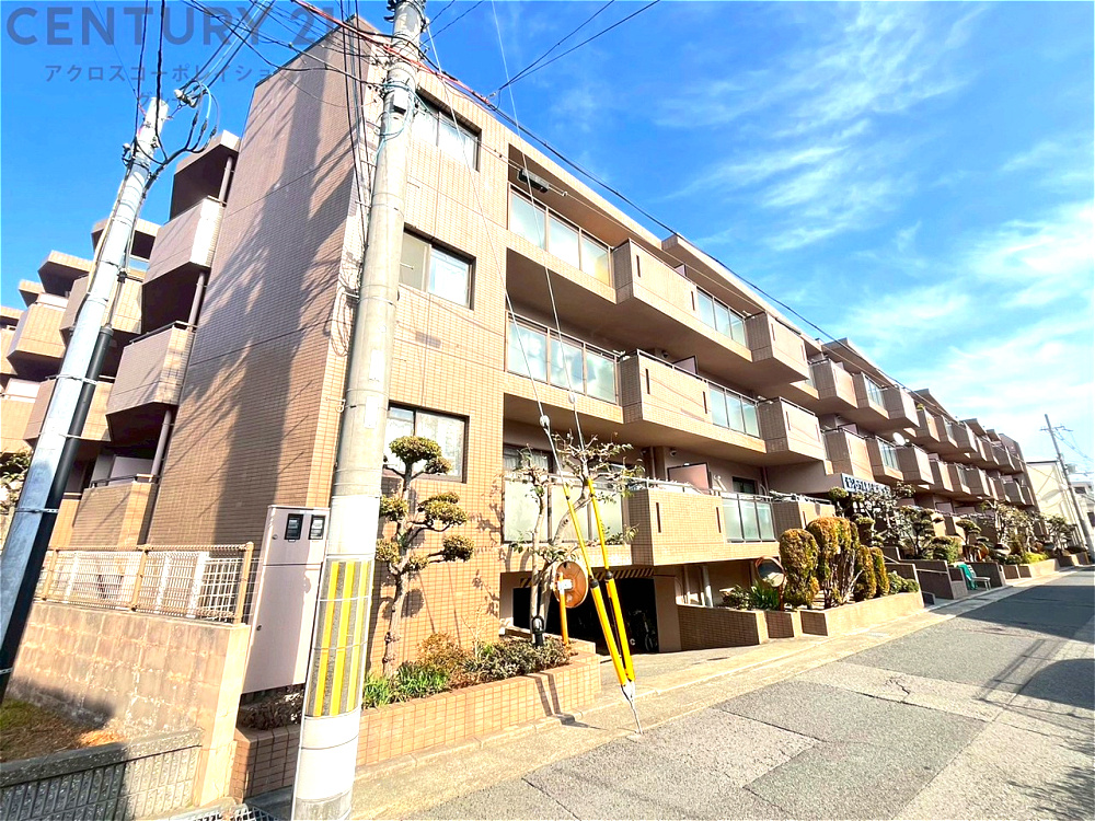 外観：328000453095