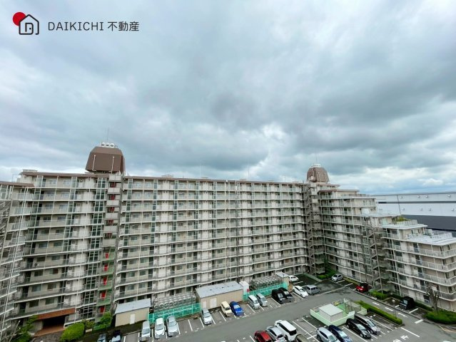 展望