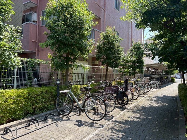 その他画像