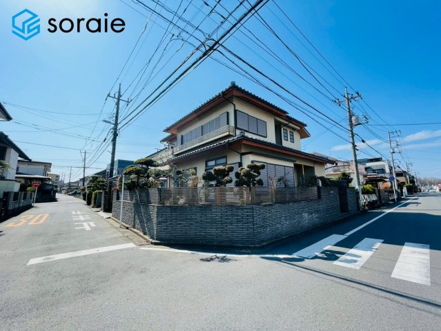 3/23撮影