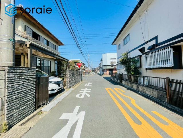 3/23撮影