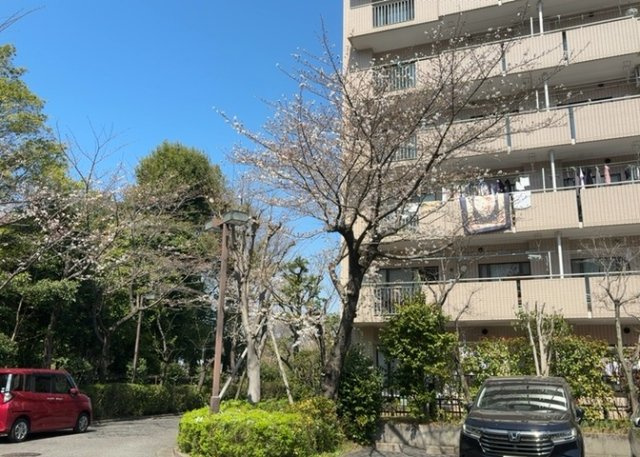物件によっては、入居者が個人的に使用できる専用庭がついているものもあります。また、住宅の中にある土間の部分を庭と呼ぶこともあります。庭の用途は住む人によって変わり、それによってデザインもさまざまです。