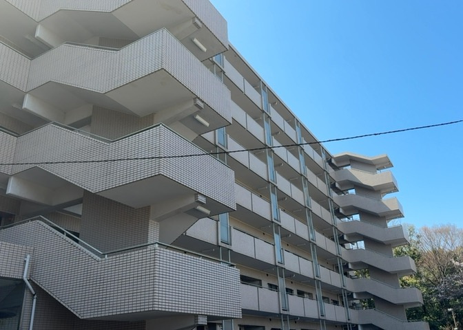 外観：313004669264