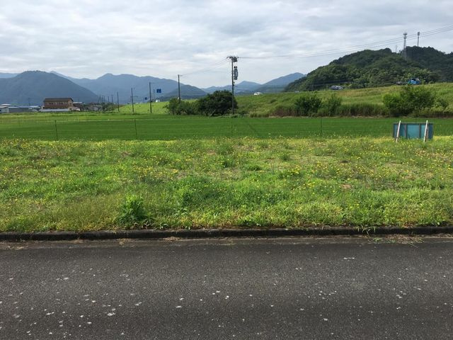 外観：328000618931