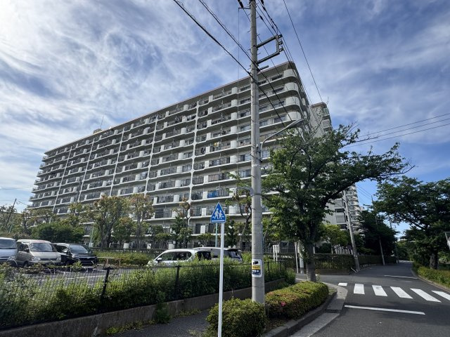 外観：313004438547