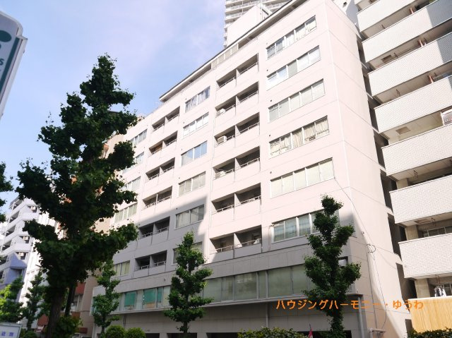 外観：313004627250