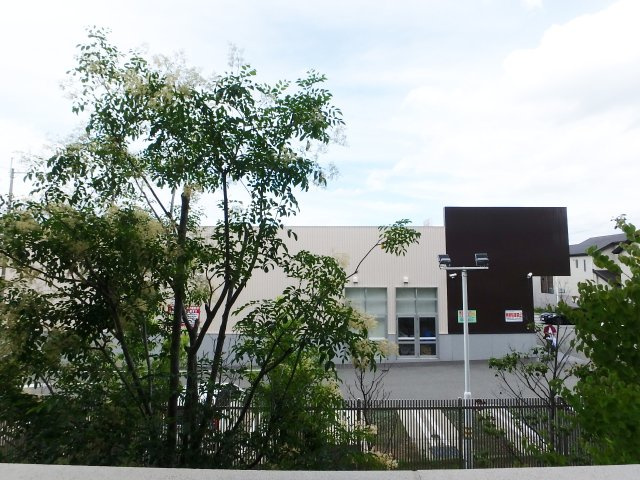 展望