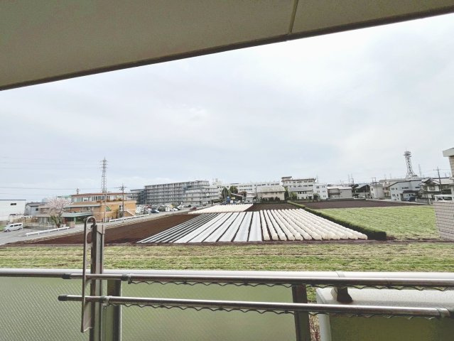 展望