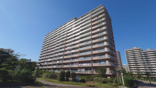 外観：314002872452