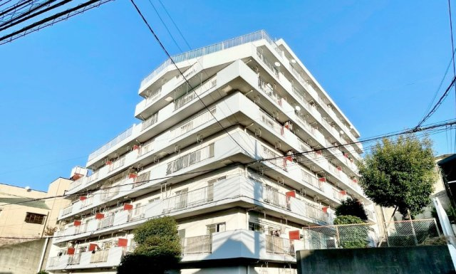 外観：313004661690