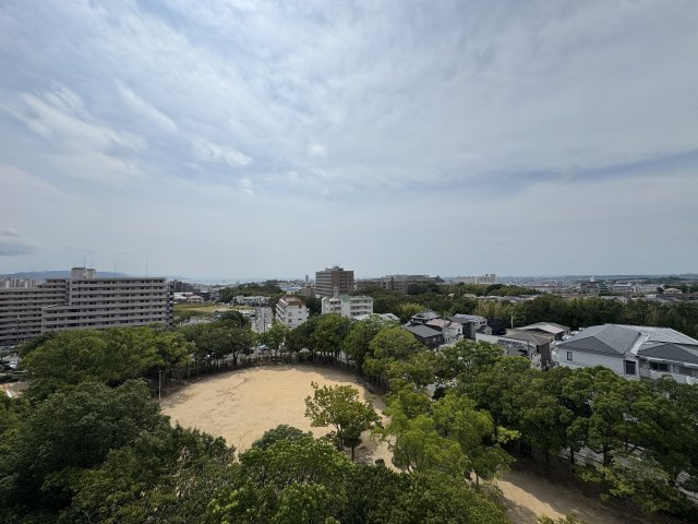 展望