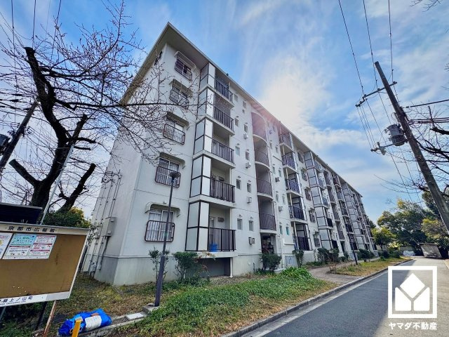 外観：326000239587