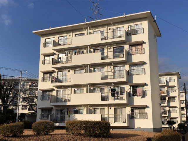 外観：314001174413