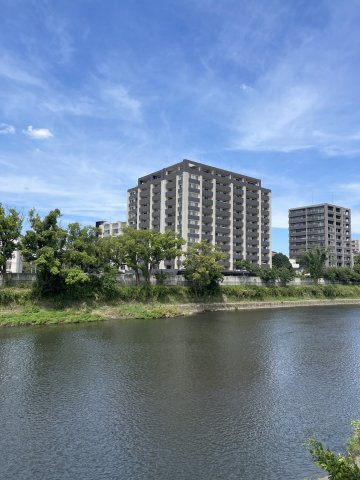 対岸からみた外観です。