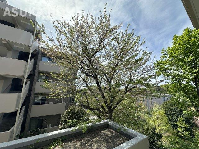 マンションの中心には大きな公園があり、子育てに適した環境として評価されています