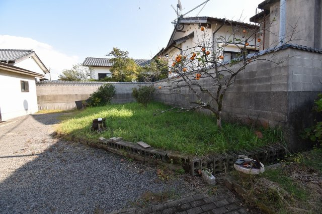 庭