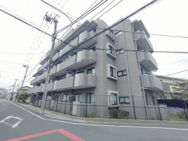 外観：313004659175