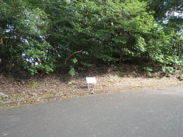 外観：322000574651