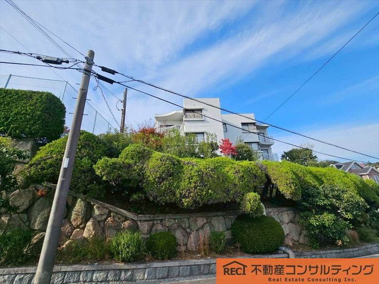 外観：328000621492