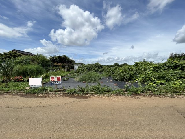 外観：308000172931