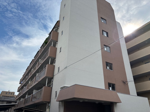 外観：312001224513