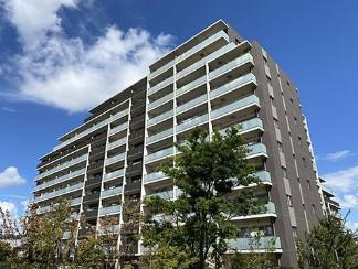 外観：313004690110