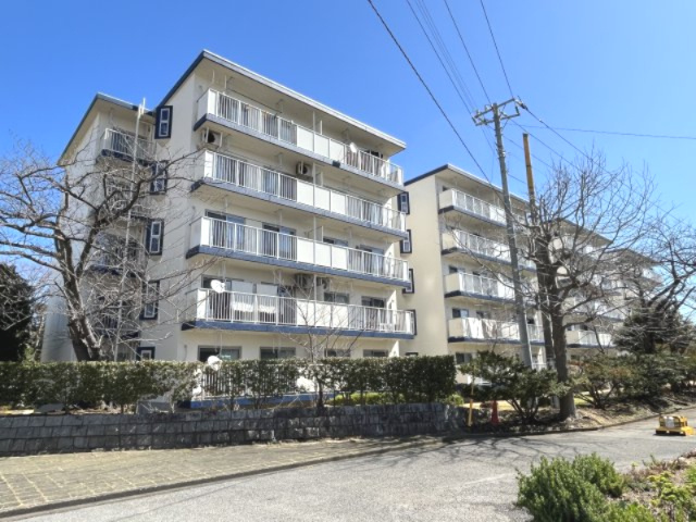 外観：312001196540