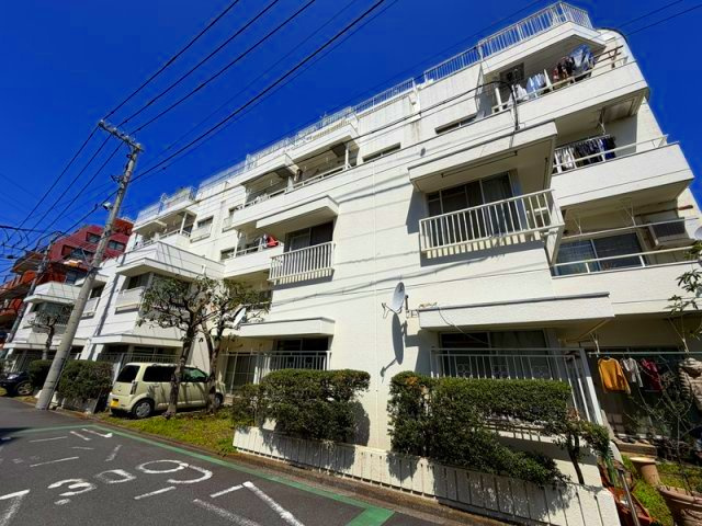 外観：313004697595