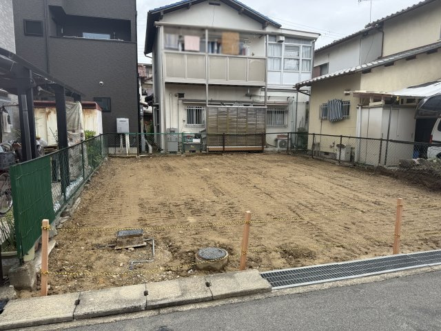 2026年6月8日撮影