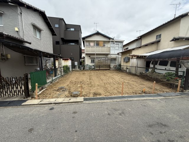 2026年6月8日撮影