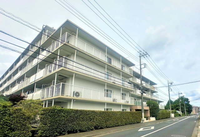 外観：313004610908