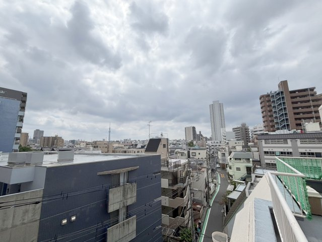 ルーフバルコニーからの眺望・スカイツリー、墨田川花火大会望めます