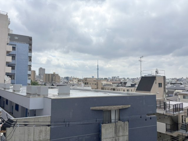 ルーフバルコニーからの眺望・スカイツリー、墨田川花火大会望めます