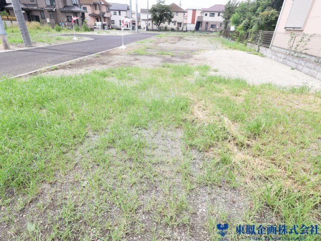 2026年7月　撮影