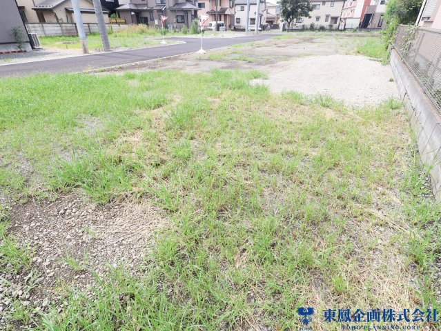 2026年7月　撮影