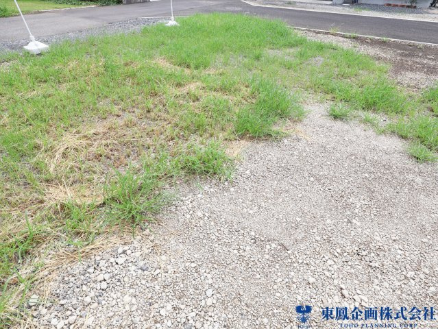 2026年7月　撮影