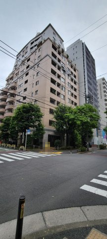 外観：313004763752