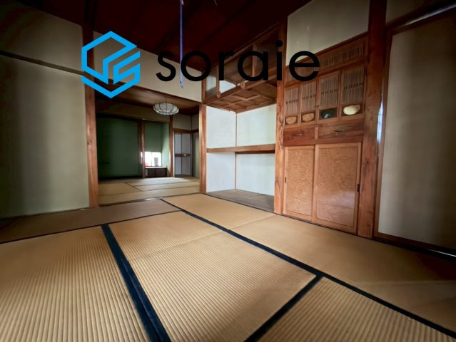 2026/6/5撮影