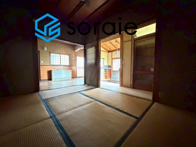 2026/6/5撮影