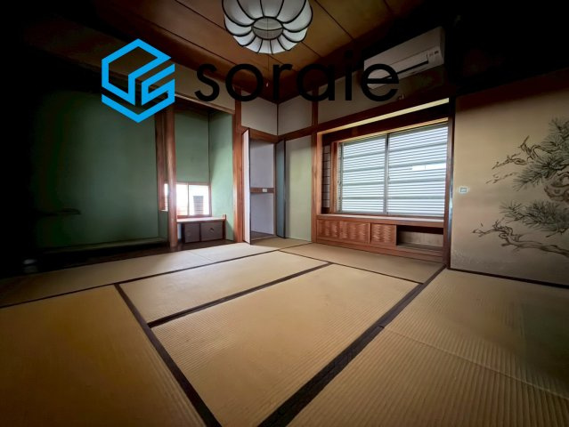 2026/6/5撮影