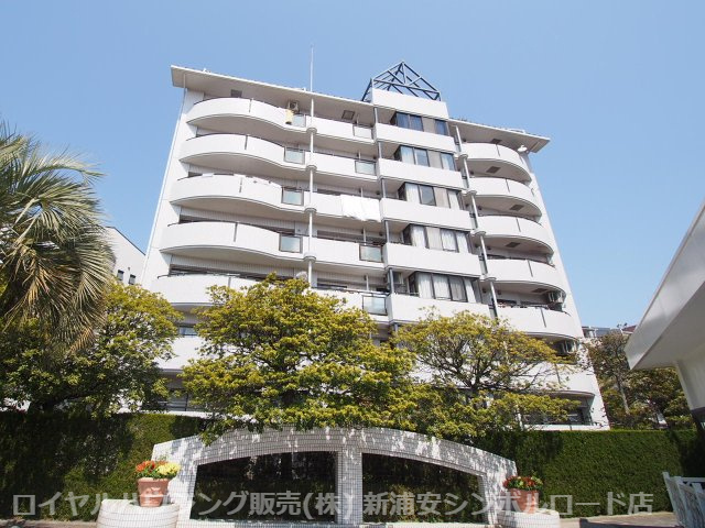 外観：312001123887