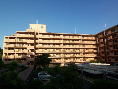 外観：325000115712