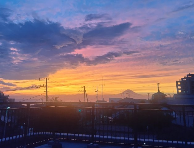 展望