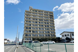 ダイアパレス前橋元総社の外観