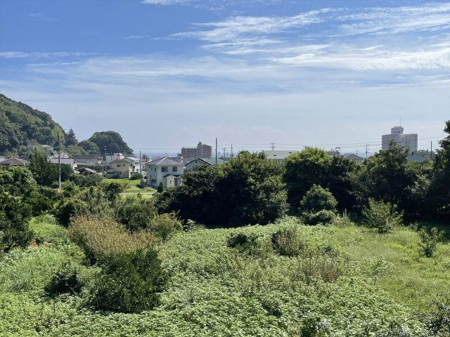 展望