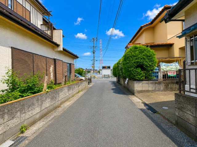 2026年6月撮影　