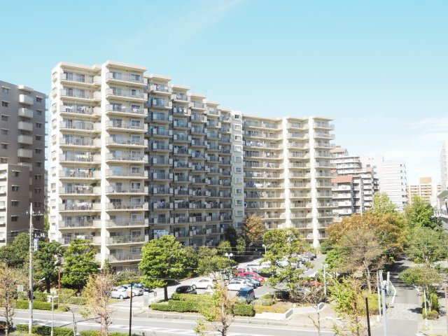 外観：312001248591