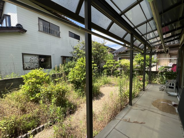 庭